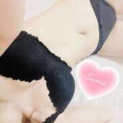 ヒメ日記 2025/04/01 22:23 投稿 るみ SUZUME