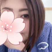 ヒメ日記 2025/04/11 12:45 投稿 れい【業界未経験】 茨城水戸ちゃんこ