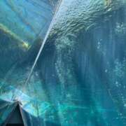 ヒメ日記 2025/08/26 11:35 投稿 れい【業界未経験】 茨城水戸ちゃんこ