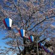 ヒメ日記 2026/04/06 09:25 投稿 れい【業界未経験】 茨城水戸ちゃんこ