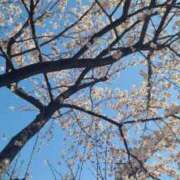 ヒメ日記 2025/04/16 10:33 投稿 まいな　奥様 SUTEKIな奥様は好きですか?