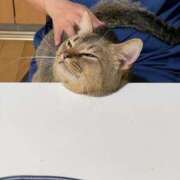 今井 まこと（体験） 到着しました。 人妻の雫　福山店