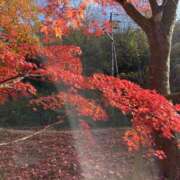 ヒメ日記 2025/12/15 21:57 投稿 今井 まこと（体験） 人妻の雫　福山店