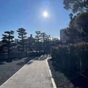 ヒメ日記 2025/12/23 08:42 投稿 今井 まこと（体験） 人妻の雫　福山店