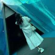 ヒメ日記 2025/04/17 12:25 投稿 みゆき 渋谷くいーんず