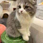 ヒメ日記 2025/05/19 11:36 投稿 みゆき 渋谷くいーんず