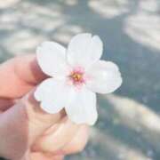 ヒメ日記 2026/04/11 21:17 投稿 みゆき 渋谷くいーんず