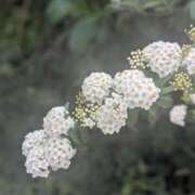 ヒメ日記 2025/04/13 22:01 投稿 橘（タチバナ） アバンチュール(五反田)