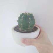 ヒメ日記 2025/04/25 12:01 投稿 橘（タチバナ） アバンチュール(五反田)