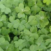 ヒメ日記 2025/04/26 16:01 投稿 橘（タチバナ） アバンチュール(五反田)