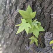 ヒメ日記 2025/05/04 11:47 投稿 橘（タチバナ） アバンチュール(五反田)