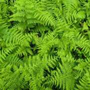 ヒメ日記 2025/05/07 11:46 投稿 橘（タチバナ） アバンチュール(五反田)