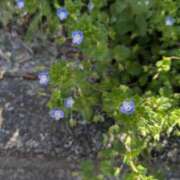 ヒメ日記 2025/05/11 11:02 投稿 橘（タチバナ） アバンチュール(五反田)