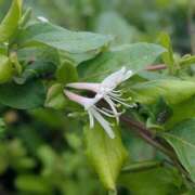 ヒメ日記 2025/05/18 22:31 投稿 橘（タチバナ） アバンチュール(五反田)