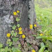 ヒメ日記 2025/05/23 16:46 投稿 橘（タチバナ） アバンチュール(五反田)