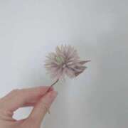 ヒメ日記 2025/05/23 21:46 投稿 橘（タチバナ） アバンチュール(五反田)