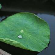 ヒメ日記 2025/05/30 11:46 投稿 橘（タチバナ） アバンチュール(五反田)