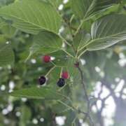 ヒメ日記 2025/06/04 12:01 投稿 橘（タチバナ） アバンチュール(五反田)