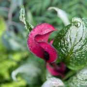 ヒメ日記 2025/06/11 17:46 投稿 橘（タチバナ） アバンチュール(五反田)