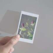 ヒメ日記 2025/06/16 21:46 投稿 橘（タチバナ） アバンチュール(五反田)