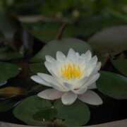 ヒメ日記 2025/06/29 17:46 投稿 橘（タチバナ） アバンチュール(五反田)