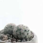 ヒメ日記 2025/07/02 21:46 投稿 橘（タチバナ） アバンチュール(五反田)