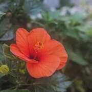 ヒメ日記 2025/08/05 14:01 投稿 橘（タチバナ） アバンチュール(五反田)