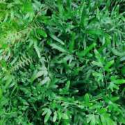 ヒメ日記 2025/08/27 11:46 投稿 橘（タチバナ） アバンチュール(五反田)