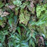 ヒメ日記 2025/09/28 12:01 投稿 橘（タチバナ） アバンチュール(五反田)