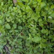 ヒメ日記 2026/03/01 11:46 投稿 橘（タチバナ） アバンチュール(五反田)