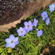 ヒメ日記 2026/03/23 17:46 投稿 橘（タチバナ） アバンチュール(五反田)