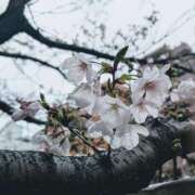 ヒメ日記 2026/03/27 13:01 投稿 橘（タチバナ） アバンチュール(五反田)