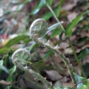 ヒメ日記 2026/03/29 17:46 投稿 橘（タチバナ） アバンチュール(五反田)