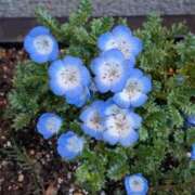 ヒメ日記 2026/04/10 20:31 投稿 橘（タチバナ） アバンチュール(五反田)