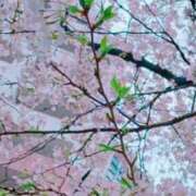 ヒメ日記 2025/04/08 19:25 投稿 らん 奥鉄オクテツ東京店（デリヘル市場）