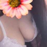 ヒメ日記 2025/04/20 12:02 投稿 はるな かぐや本舗