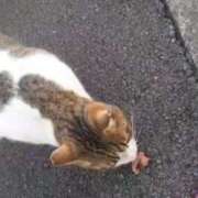 ヒメ日記 2025/04/07 11:03 投稿 霞沙羅咲 五十路マダム 沼津店(カサブランカグループ)