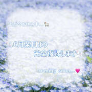 美遊(みゆ) 💙 再始動予報 💙 Chaleur (シャルール)