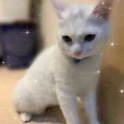 なつか 復活初日 イキなり生彼女from大宮