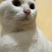 なつか 2日間ありがとうございました！ イキなり生彼女from大宮