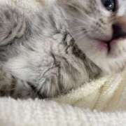 ヒメ日記 2025/04/06 03:38 投稿 ここあ アドミsince2002立川デリヘル&Go To FANTASY東京本店