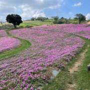 ヒメ日記 2025/04/05 09:02 投稿 ゆい 脱がされたい人妻 成田店
