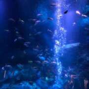 ヒメ日記 2025/04/26 23:16 投稿 ゆい 脱がされたい人妻 成田店