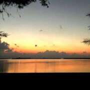 ヒメ日記 2025/05/18 07:01 投稿 ゆい 脱がされたい人妻 成田店