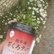 ヒメ日記 2025/05/22 10:45 投稿 ゆい 脱がされたい人妻 成田店