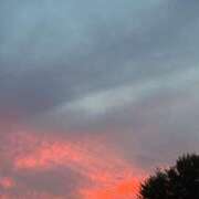 ヒメ日記 2025/09/08 10:01 投稿 ゆい 脱がされたい人妻 成田店