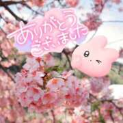 ヒメ日記 2025/03/31 21:46 投稿 みおり モアグループ小山人妻花壇