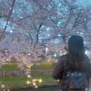 ヒメ日記 2025/04/11 19:55 投稿 ゆは 東京リップ 池袋店