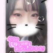 ヒメ日記 2025/04/15 11:30 投稿 ゆは 東京リップ 池袋店