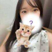 ヒメ日記 2025/07/20 07:34 投稿 ゆは 東京リップ 池袋店